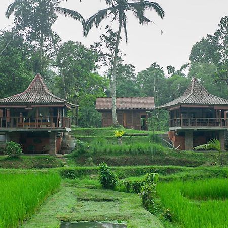Tepi Sawah Lodge&Retreat Jatiluwih Bagian luar foto