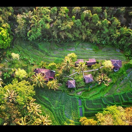 Tepi Sawah Lodge&Retreat Jatiluwih Bagian luar foto