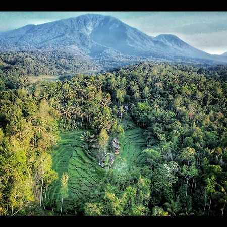 Tepi Sawah Lodge&Retreat Jatiluwih Bagian luar foto
