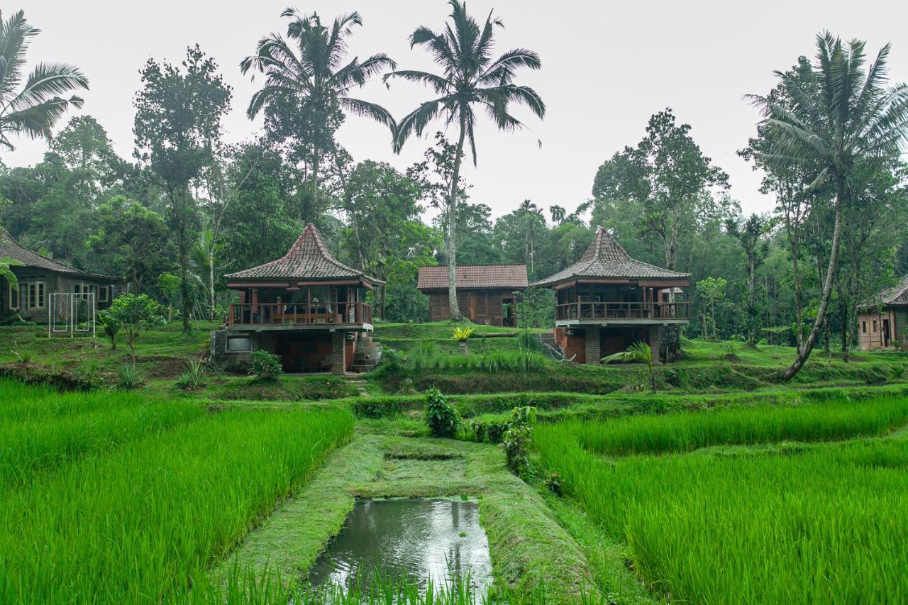 Tepi Sawah Lodge&Retreat Jatiluwih Bagian luar foto