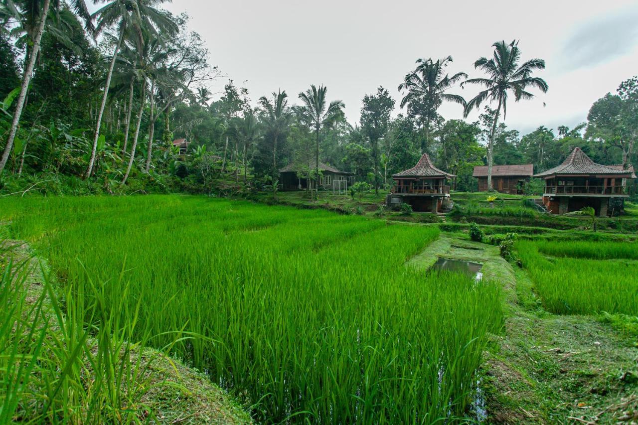 Tepi Sawah Lodge&Retreat Jatiluwih Bagian luar foto