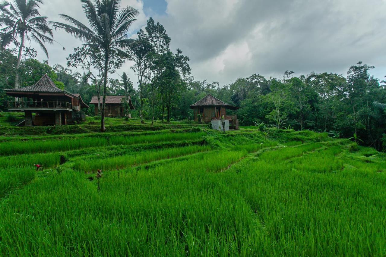 Tepi Sawah Lodge&Retreat Jatiluwih Bagian luar foto