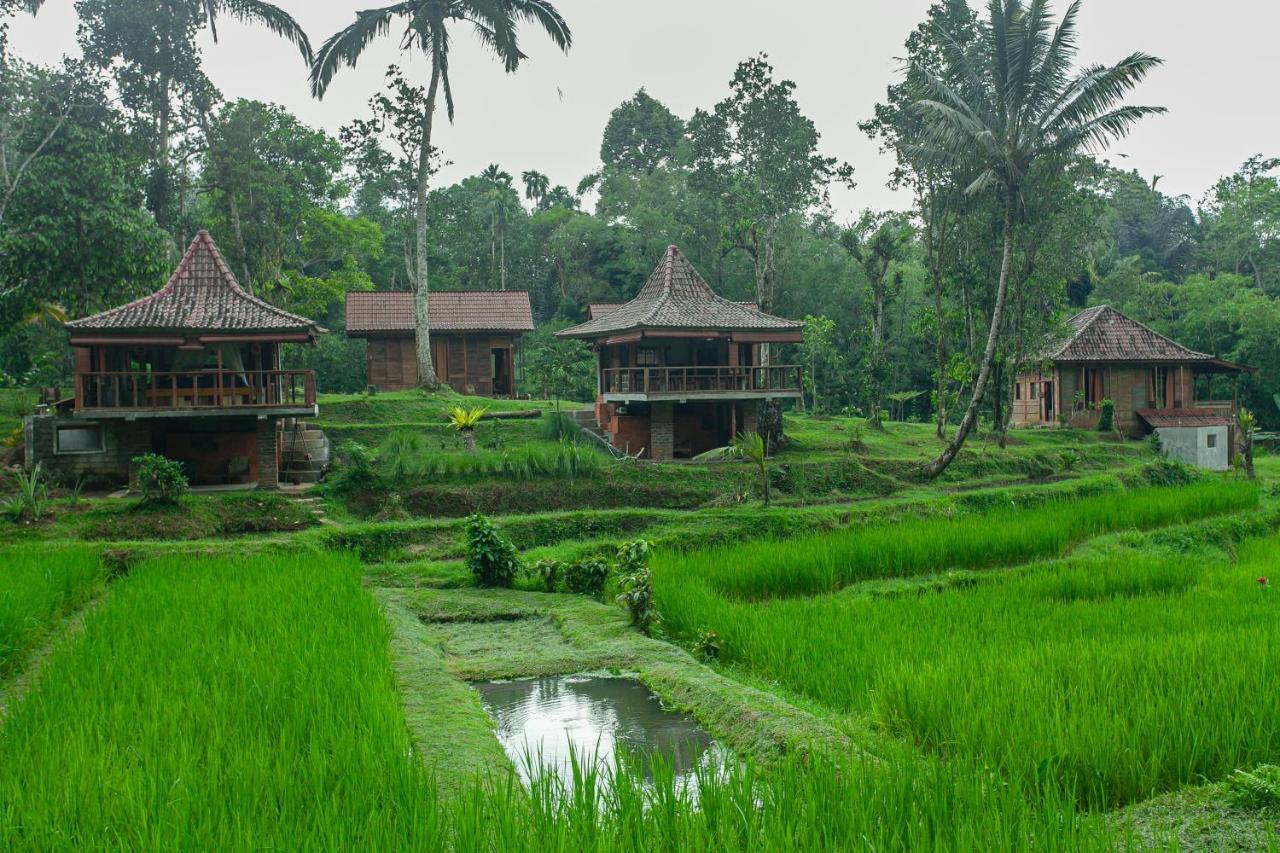 Tepi Sawah Lodge&Retreat Jatiluwih Bagian luar foto