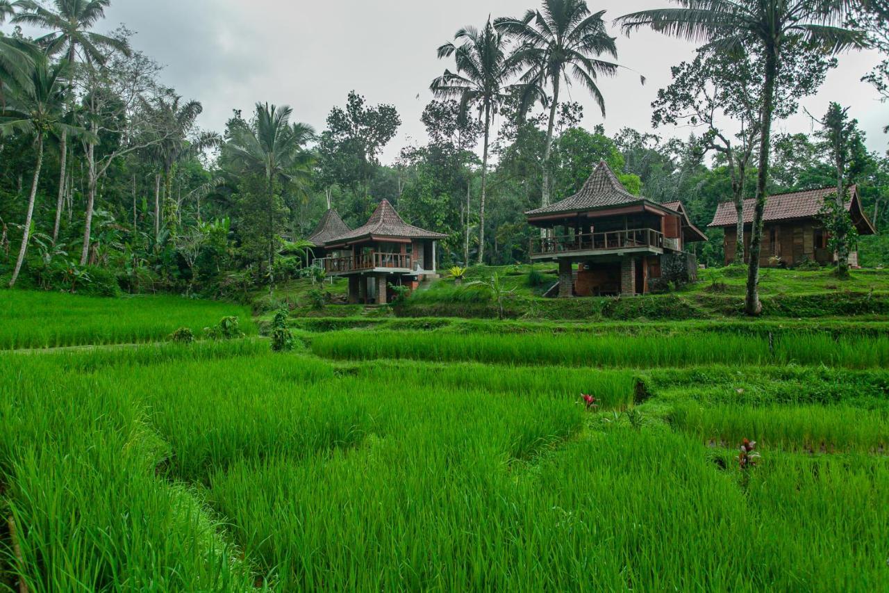 Tepi Sawah Lodge&Retreat Jatiluwih Bagian luar foto