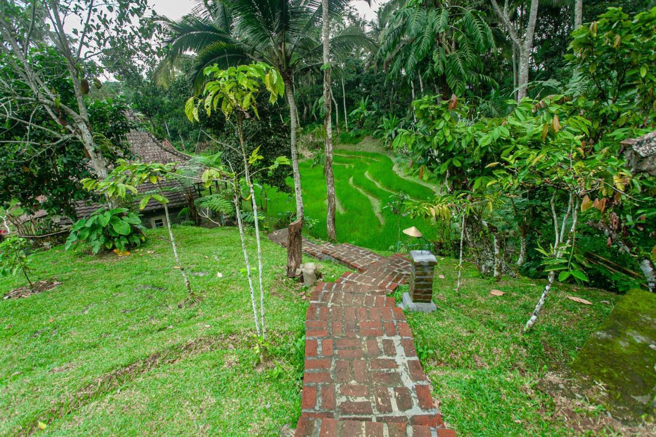 Tepi Sawah Lodge&Retreat Jatiluwih Bagian luar foto
