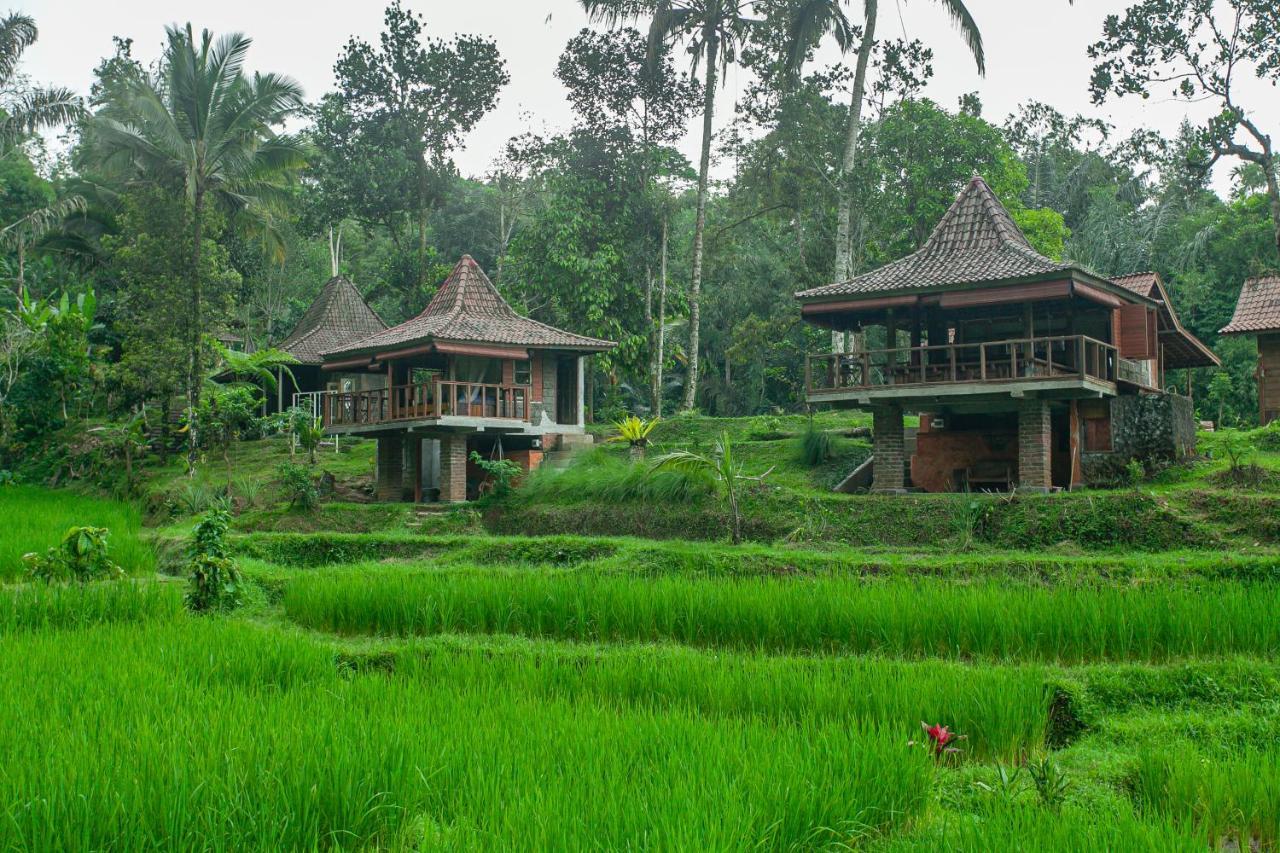 Tepi Sawah Lodge&Retreat Jatiluwih Bagian luar foto