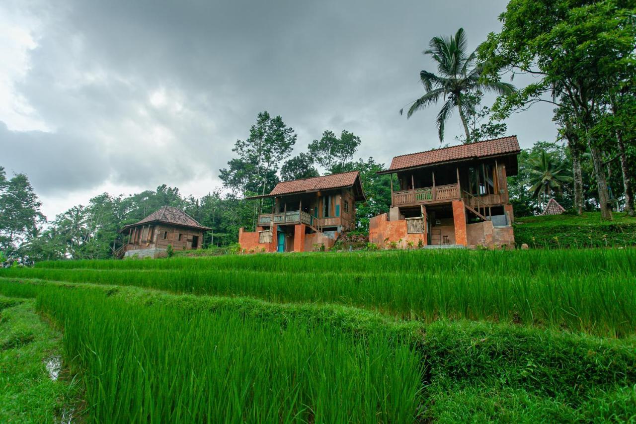 Tepi Sawah Lodge&Retreat Jatiluwih Bagian luar foto
