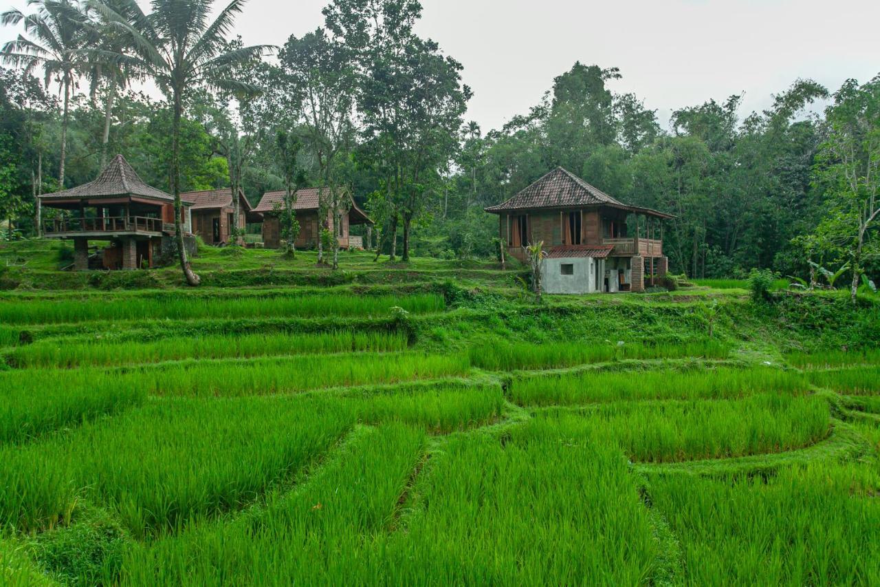 Tepi Sawah Lodge&Retreat Jatiluwih Bagian luar foto