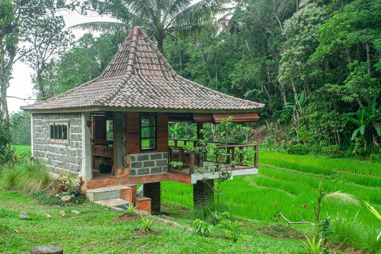 Tepi Sawah Lodge&Retreat Jatiluwih Bagian luar foto