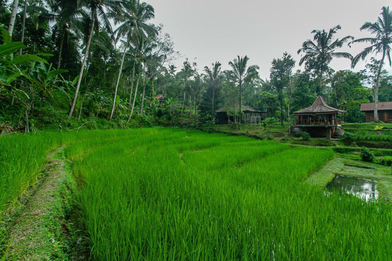 Tepi Sawah Lodge&Retreat Jatiluwih Bagian luar foto