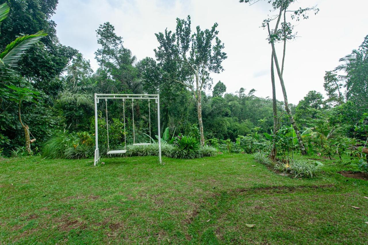 Tepi Sawah Lodge&Retreat Jatiluwih Bagian luar foto