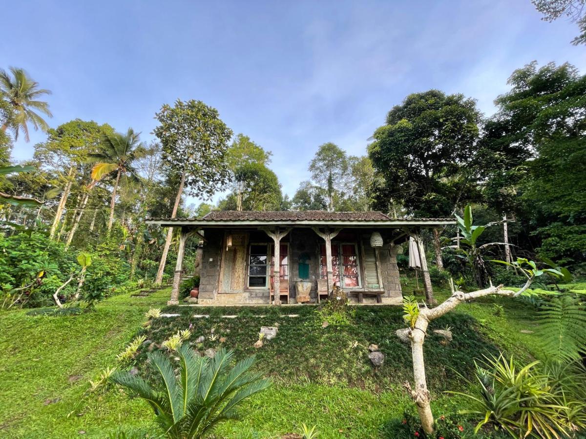 Tepi Sawah Lodge&Retreat Jatiluwih Bagian luar foto