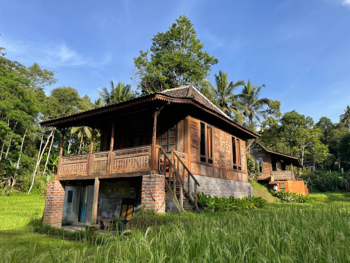 Tepi Sawah Lodge&Retreat Jatiluwih Bagian luar foto