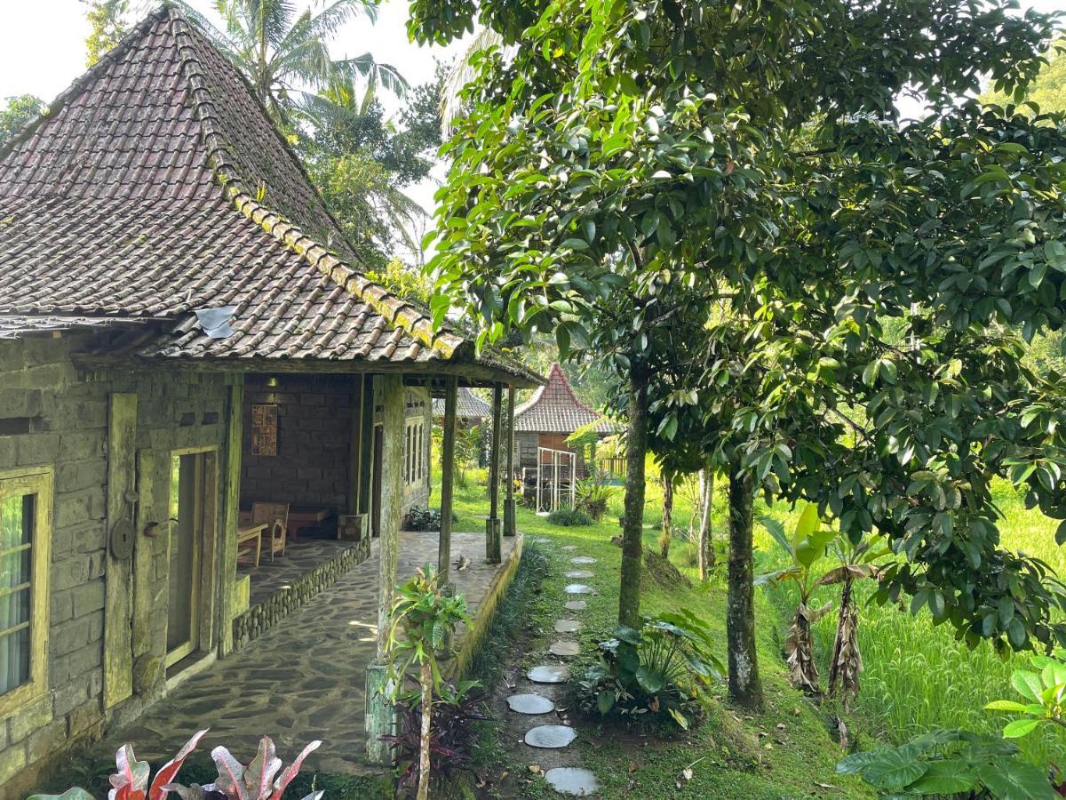 Tepi Sawah Lodge&Retreat Jatiluwih Bagian luar foto
