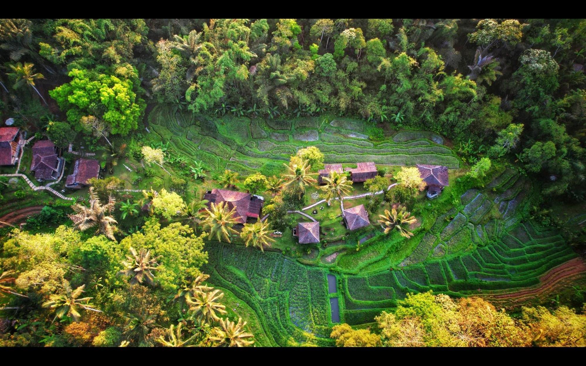 Tepi Sawah Lodge&Retreat Jatiluwih Bagian luar foto