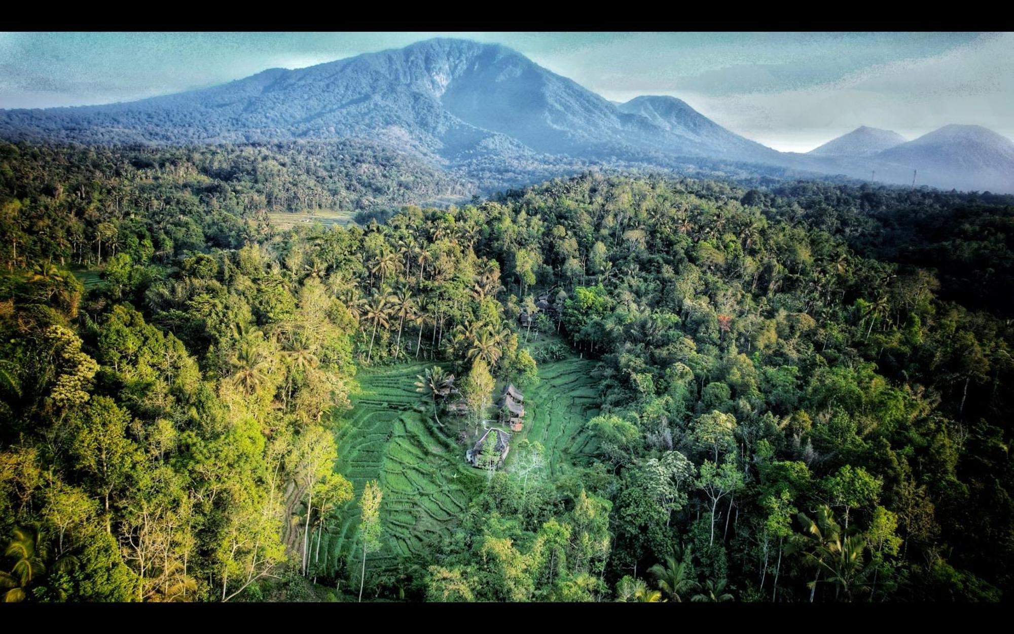 Tepi Sawah Lodge&Retreat Jatiluwih Bagian luar foto