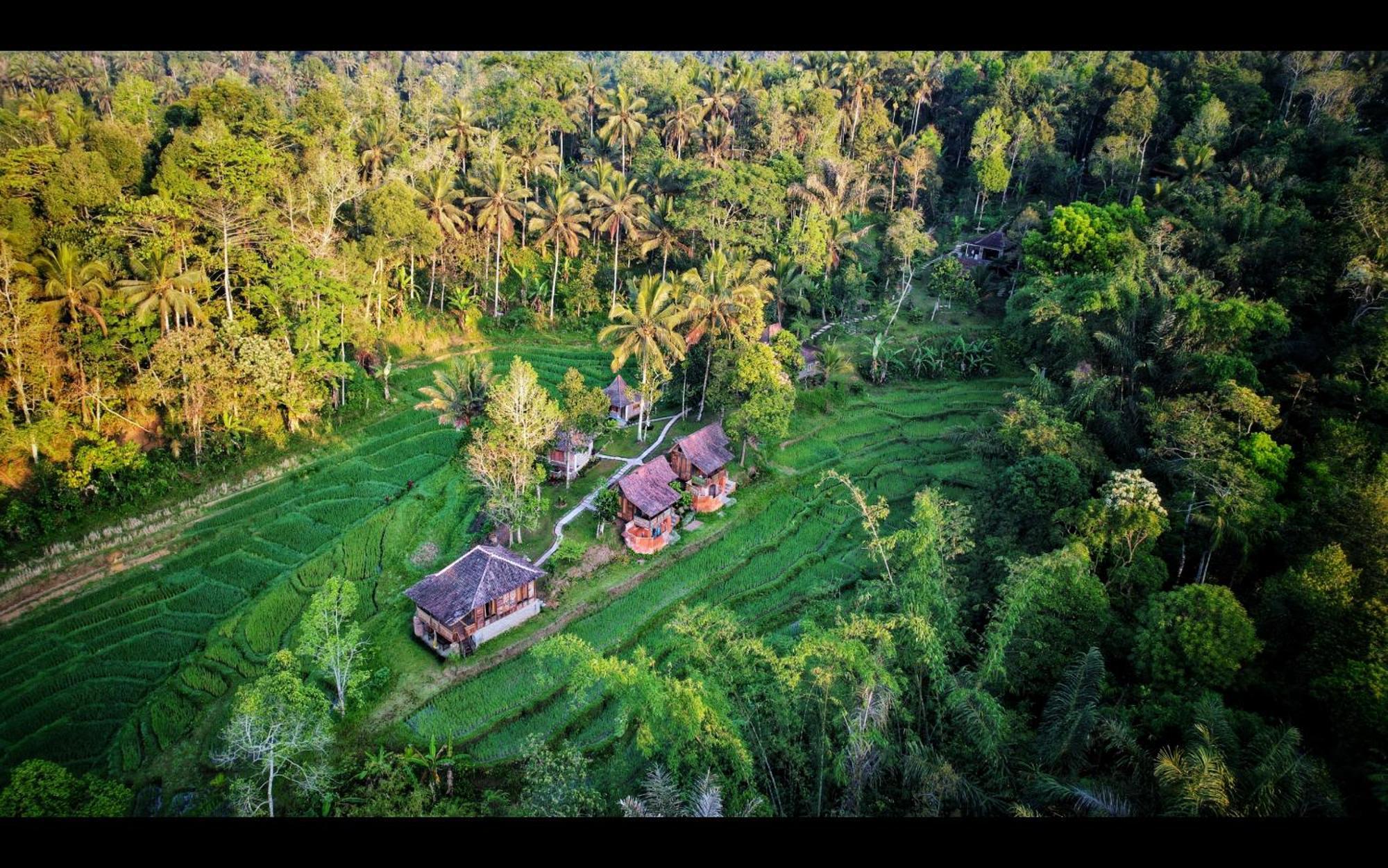 Tepi Sawah Lodge&Retreat Jatiluwih Bagian luar foto